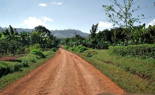 Muruka- Elukhari Road Repair